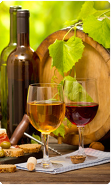 vin et gastronomie